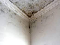 Best Air Quality Testing for Mold Spores  in , WI