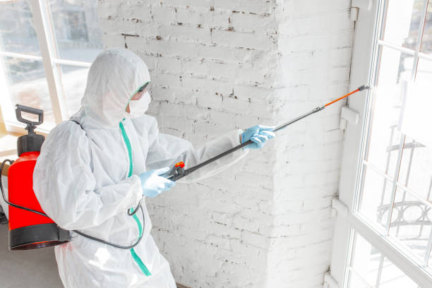 Best Environmental Consulting for Mold Prevention  in , WI