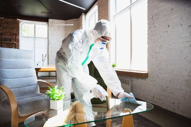 Best Industrial Mold Remediation  in , WI