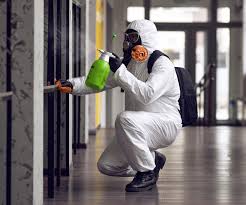 Best Asbestos and Lead Testing During Mold Inspection  in , WI